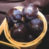 Black Ice Plum