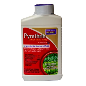 Bonide® Pyrethrin Spray 1 Bonide® Pyrethrin Spray