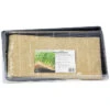 Microgreens Starter Kit