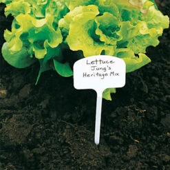 T Label Plant Markers (13 Inch)