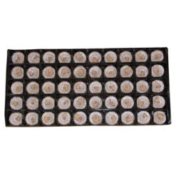 Jiffy-7® Prefilled Handling Sheets