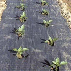 The Original Planters Paper® (48" X 100')