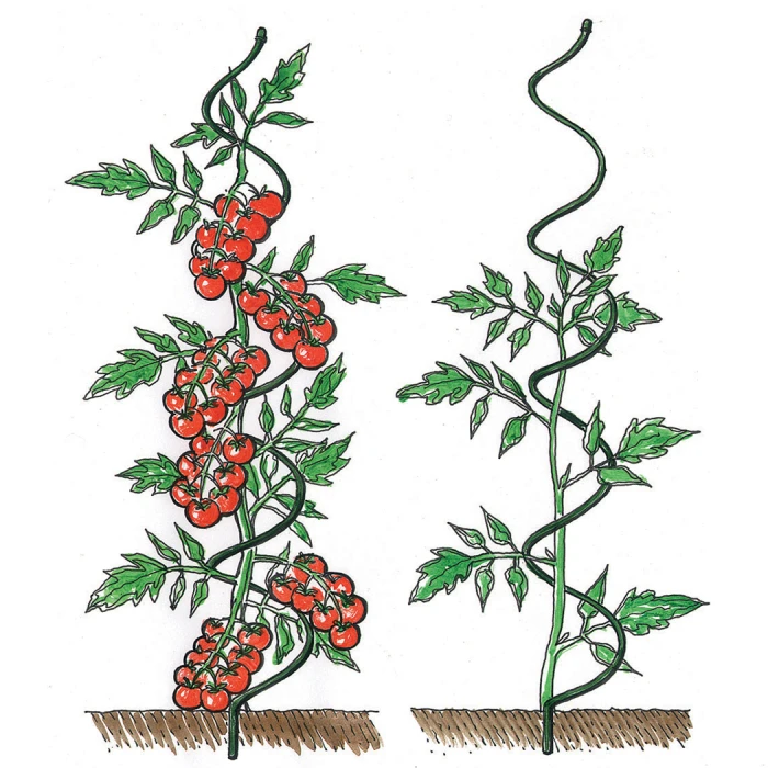 Spiral Support 1 Spiral Support